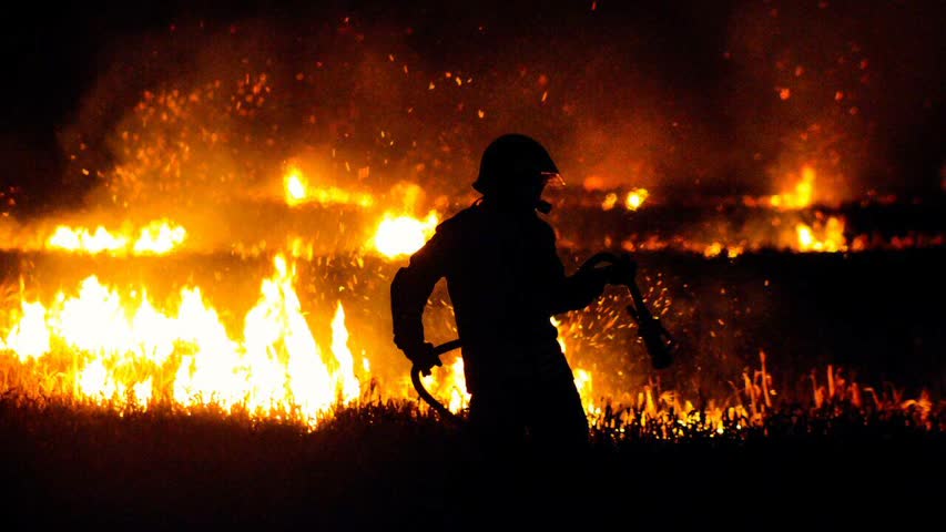 Фото - Предсказан срок прекращения лесных пожаров в России