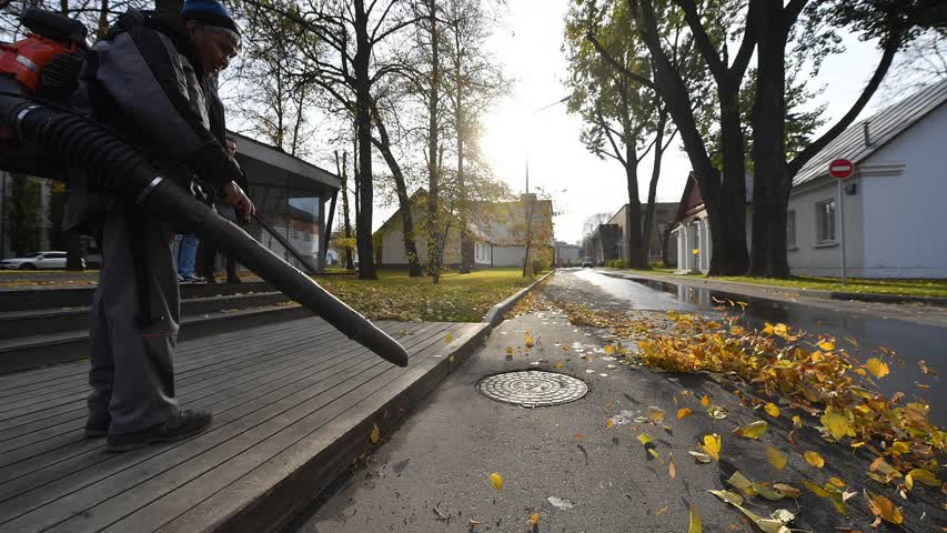 Фото - Россиян предупредили о штрафах за сжигание листвы во дворе