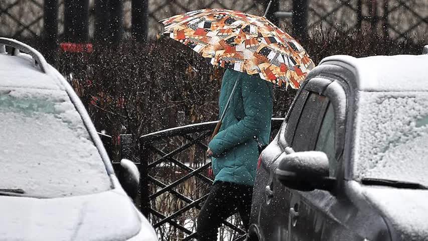 Фото - Снежный покров в Москве назвали неокончательным